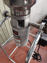 Cargar imagen en el visor de la galería, Licuadora Torrey Jr LP-12 12 litros
